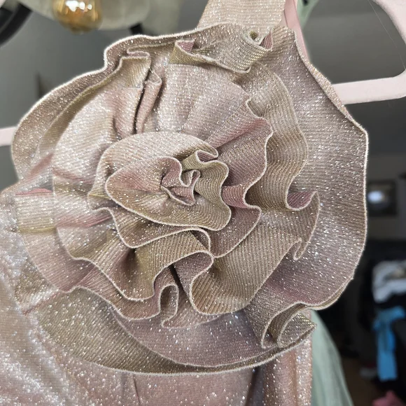 Betsy & Adams One Shoulder Blush Pink Dress Size 4 Nwt - Picture 6 of 6